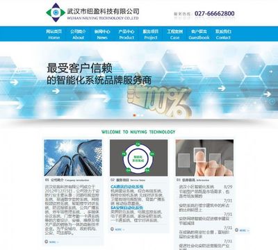 武汉设计网站价格,武汉易城设计网站年中最低价-首商网