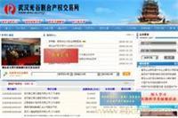 武汉网站设计与优化推广 一站式网络宣传解决方案