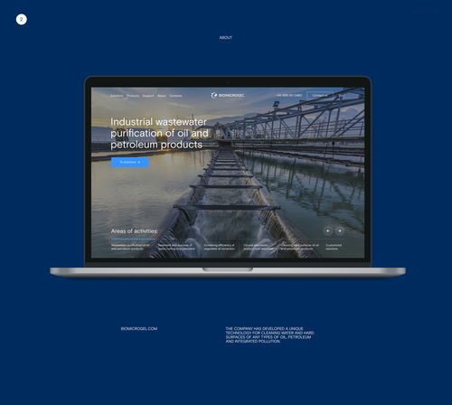 俄罗斯能源清洁公司Biomicrogel网站UI设计与武汉网站开发服务