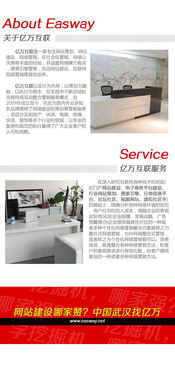 武汉网站建设与网络营销知识 全方位服务助力企业数字化转型