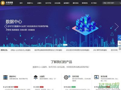 丰网信息与武汉网站开发 打造数字化未来的专业伙伴