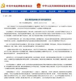 中央纪委国家监委网站报道武汉 用好监察建议书 提升监督实效